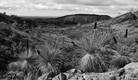 black & whiteflinders gorgeimg_9704 with domicile