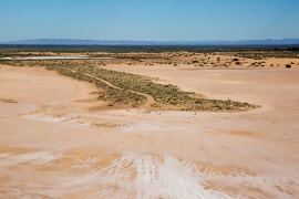 lake frome from plane2z8a0531