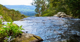 yarra valley drop offimg_8129 46 x 24